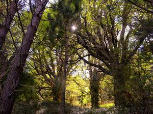 Oksigen Akan Habis, Tak Sanggup Lagi Menopang Kehidupan Bumi Oksigen Akan Habis, Tak Sanggup Lagi Menopang Kehidupan Bumi