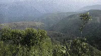 Deretan 8 Hutan Terbesar yang Bikin Bumi Tetep Adem