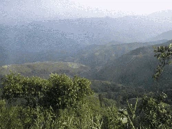 Ilmuwan Memprediksi Oksigen Akan Lenyap di Muka Bumi