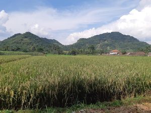 Mitos Suara Gong Gamelan di Gunung Goong Sukabumi Mitos Suara Gong Gamelan di Gunung Goong Sukabumi