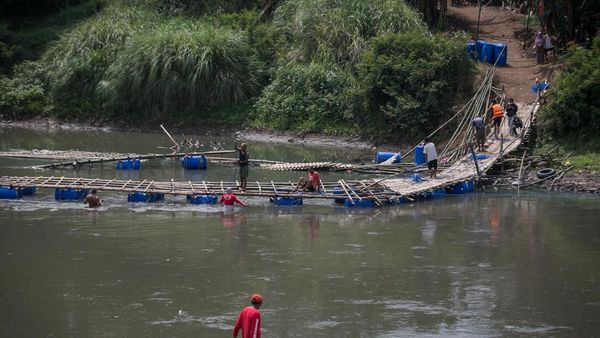 Jembatan Darurat di Bengawan Solo Rusak, Akses Warga Terputus