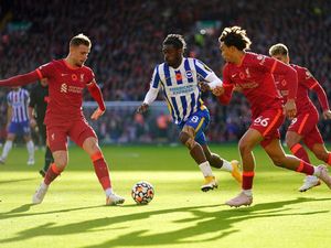 Link Live Streaming Liverpool Vs Brighton & Hove Albion