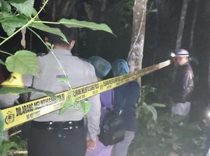 Jatuh dari Pohon Enau, Wanita Asal Bhuana Giri Karangasem Tewas