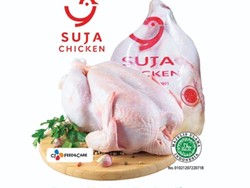 Garap Pasar Ayam RI, PT SUJA Fokus Kembangkan Sistem Rantai Dingin