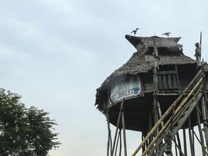 5 Rumah Adat Suku Dayak, Ada Lamin hingga Betang Tambaba 5 Rumah Adat Suku Dayak, Ada Lamin hingga Betang Tambaba