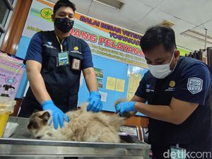 Hari Rabies Dunia, Anjing-Kucing di Kulon Progo Dapat Vaksin Gratis Hari Rabies Dunia, Anjing-Kucing di Kulon Progo Dapat Vaksin Gratis