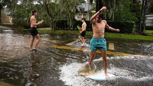 Warga Florida Asik Main Selancar di Tengah Banjir