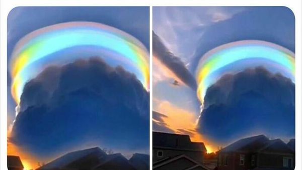 Yup, That Exists! Kumpulan Hal Unik yang Pernah Ada