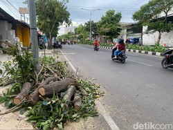 Waspada Angin Kencang di Surabaya Dampak Peralihan Musim