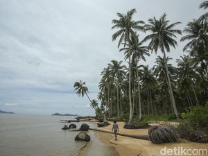 Hii... Ada Pantai Gosong Lho di Kalimantan Barat Hii... Ada Pantai Gosong Lho di Kalimantan Barat