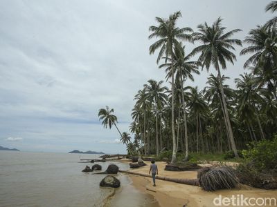 Hii... Ada Pantai Gosong Lho di Kalimantan Barat