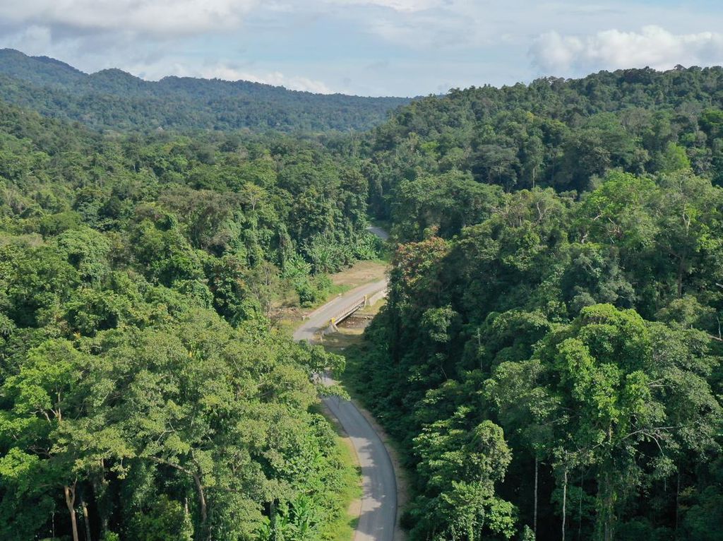 Mengintip Jalan di Papua, Dibangun Tembus Hutan Lebat