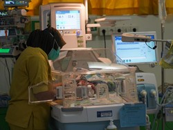 Perjuangan Petani Jagung di NTB Beli Obat-Susu untuk 4 Bayi Kembarnya