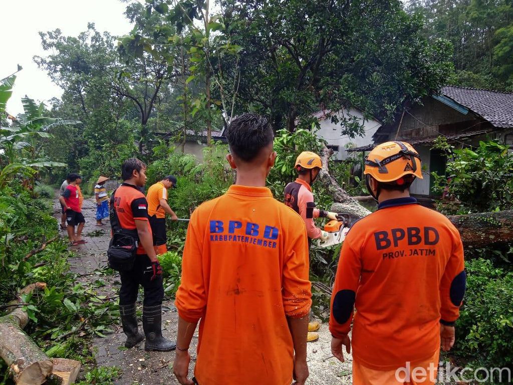 Belasan Rumah di Jember Rusak Diterjang Hujan Deras-Angin Kencang Belasan Rumah di Jember Rusak Diterjang Hujan Deras-Angin Kencang