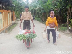Kisah Haikal, Siswa SMP yang Rutin Jual Sayur Keliling Sebelum ke Sekolah