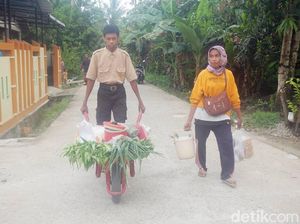 Kisah Haikal, Siswa SMP yang Rutin Jual Sayur Keliling Sebelum ke Sekolah Kisah Haikal, Siswa SMP yang Rutin Jual Sayur Keliling Sebelum ke Sekolah