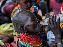 Dubes Rumania Bercanda Monyet di Kenya, Picu Kemarahan, Ditarik Pulang