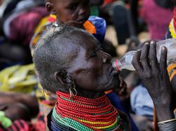 Dubes Rumania Bercanda Monyet di Kenya, Picu Kemarahan, Ditarik Pulang