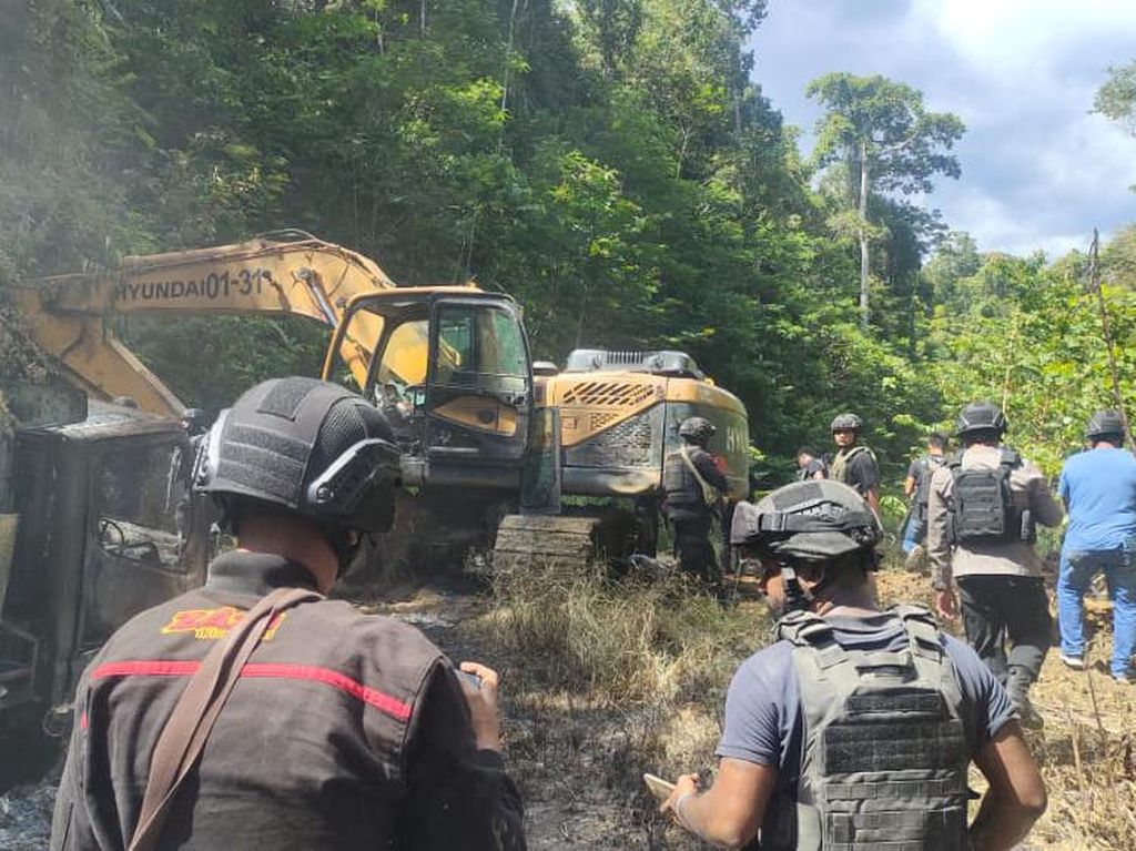 Tragis 4 Orang Tewas Dibunuh KKB di Papua Barat, Kondisi Jenazah Mengenaskan