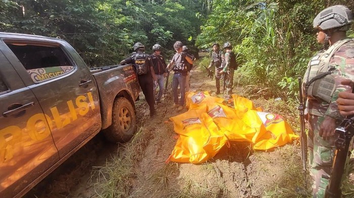 Proses evakuasi jenazah korban KKB di Bintuni, Papua Barat.