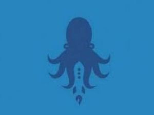 Tes Kepribadian: Gambar Gurita atau Roket yang Pertama Kali Kamu Lihat?