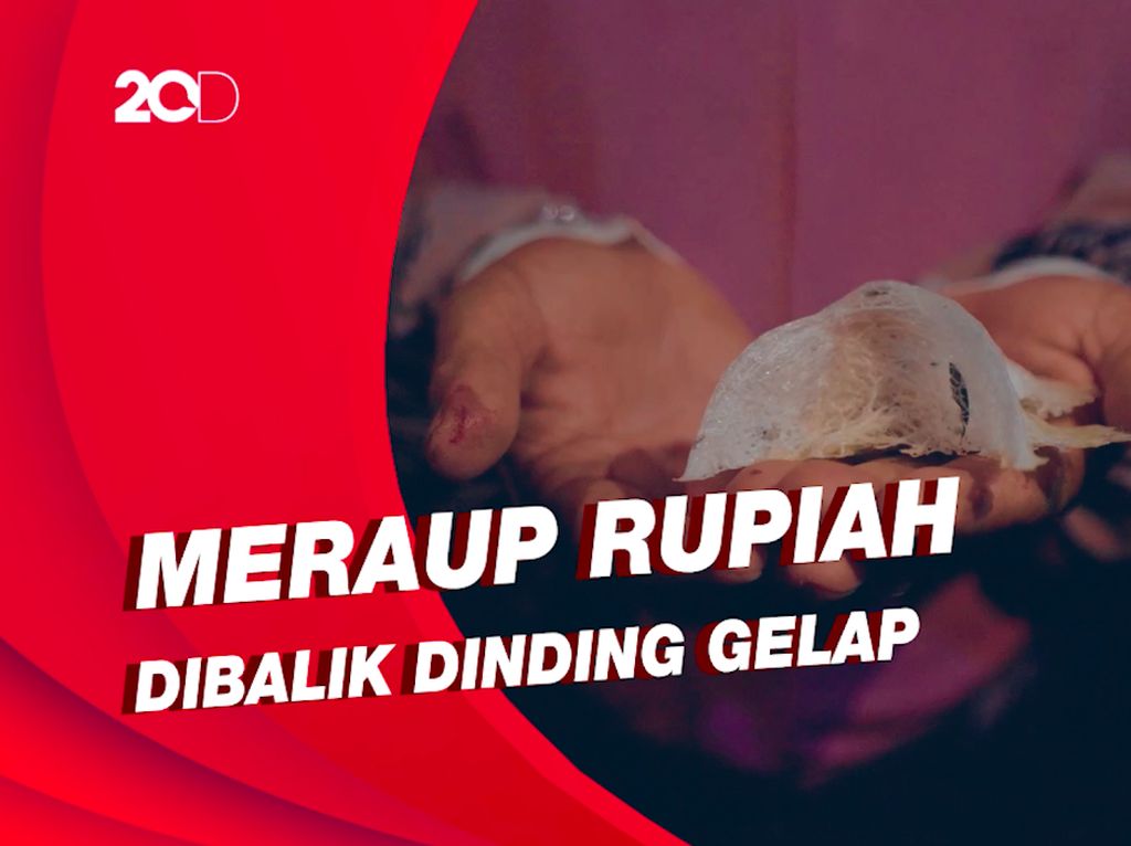 Kisah Pengusaha Walet Dari Sebuah Buku Kisah Pengusaha Walet Dari Sebuah Buku