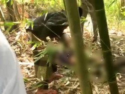 Lansia Tewas Kena Ledakan Petasan di Sumenep Luka Parah di Perut-Kepala