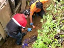 Mayat Wanita Ditemukan Tertutup Tanah di Temanggung, Ini Sebab Kematiannya