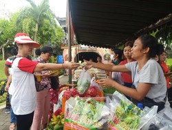 Perisai Ketahanan Pangan Daerah