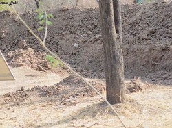 Bisakah Kamu Lihat Macan Tutul di Foto Ini?