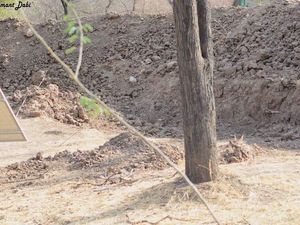 Bisakah Kamu Lihat Macan Tutul di Foto Ini? Bisakah Kamu Lihat Macan Tutul di Foto Ini?