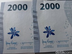 Ada Bunga Kematian Anggrek Biru di Rupiah Baru? BI: Itu Bunga Jeumpa