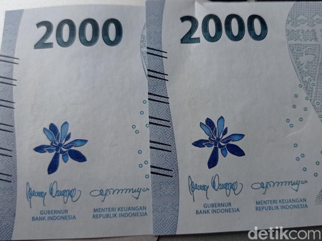 Ada Bunga Kematian Anggrek Biru di Rupiah Baru? BI: Itu Bunga Jeumpa Ada Bunga Kematian Anggrek Biru di Rupiah Baru? BI: Itu Bunga Jeumpa
