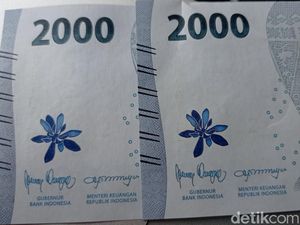 Ada Bunga Kematian Anggrek Biru di Rupiah Baru? BI: Itu Bunga Jeumpa Ada Bunga Kematian Anggrek Biru di Rupiah Baru? BI: Itu Bunga Jeumpa