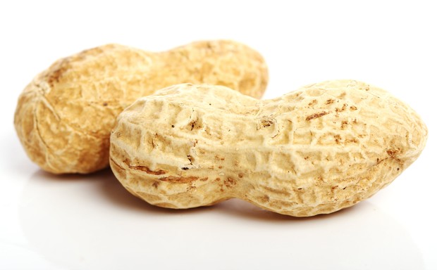 Kacang-Kacangan