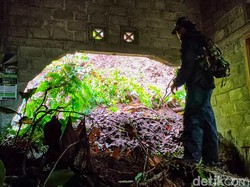 Tebing 10 Meter di Menoreh Kulon Progo Longsor, Rumah Warga Jebol