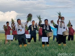 Mentan Yasin Limpo Minta Offtaker Ikut Kendalikan Inflasi Pangan