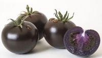 Mirip Blueberry! Tomat Ungu Kaya Antioksidan Bakal Dijual Tahun Depan