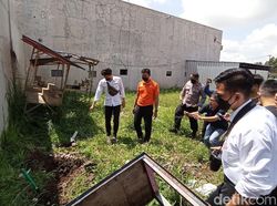 Jabar Hari Ini: Horor Pembantaian Kucing hingga Eks Walkot Banjar Divonis 7 Tahun Bui