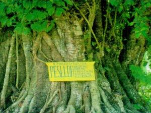 Ini 4 Cagar Budaya yang Harus Disinggahi saat Berkunjung ke Dairi