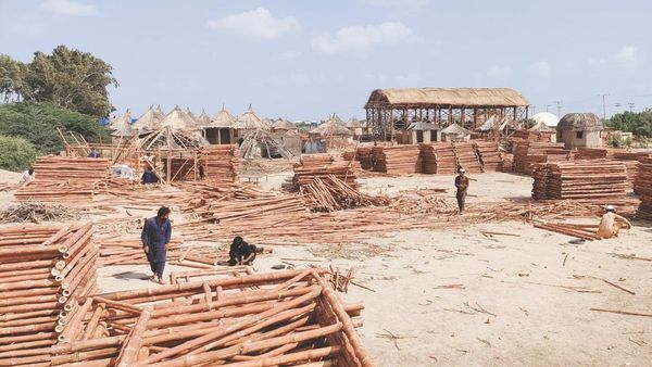 Mengintip Rumah Bambu, Selter Darurat Banjir Raksasa di Pakistan