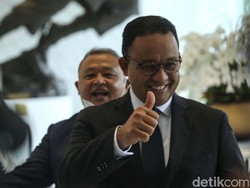 Siapa Burung Hantu yang Ingin Koalisi Pengusung Anies Pisah?