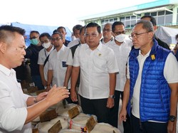 Duet Zulhas dan Buwas Buka-bukaan Biang Kerok Harga Beras Mahal