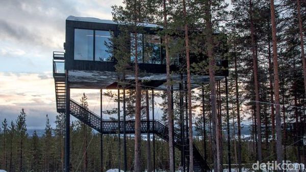 5 Rumah Pohon Modern yang Keren Abis