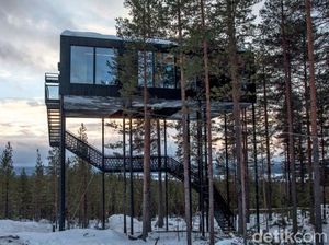 5 Rumah Pohon Modern yang Keren Abis