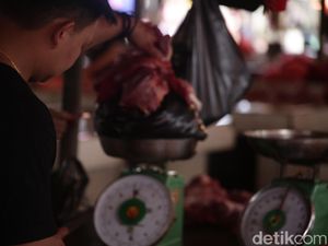 Cerita Pedagang Daging Ular di Tomohon Warisi Usaha Turun Temurun Keluarga Cerita Pedagang Daging Ular di Tomohon Warisi Usaha Turun Temurun Keluarga