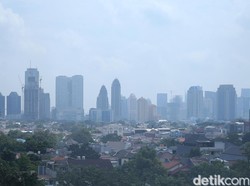 Pemda Diminta Segera Bikin Aturan Tata Ruang