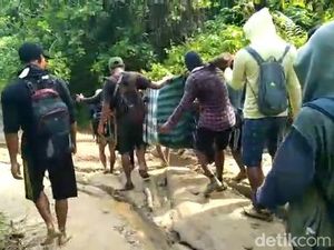 Momen Warga Lampung Ditandu 5 Jam Lewati Jalan Rusak ke Puskesmas Momen Warga Lampung Ditandu 5 Jam Lewati Jalan Rusak ke Puskesmas