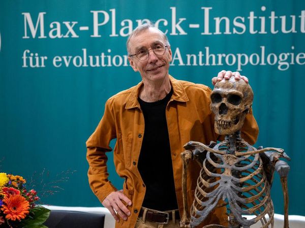 Sosok Peraih Nobel yang Ungkap Kawin Silang Manusia Purba