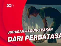 Kisah Sukses Juragan Jagung Pakan di Perbatasan, Hingga Banjir Orderan
